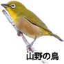 山野の鳥